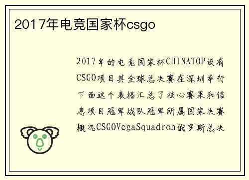 2017年电竞国家杯csgo